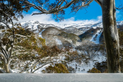 Pure Chalet Thredbo - Accommodation Adelaide 17
