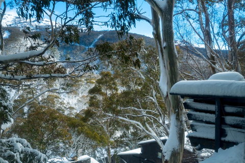 Pure Chalet Thredbo - Accommodation Adelaide 30