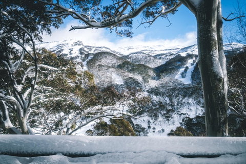 Pure Chalet Thredbo - Accommodation Adelaide 2