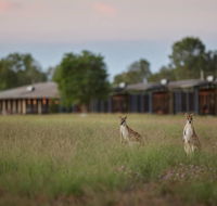 Wildman Wilderness Lodge - Accommodation Adelaide