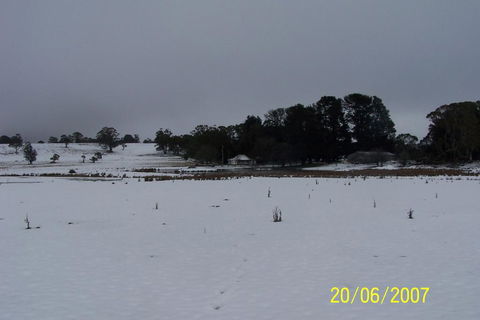 Brae Lossie - Accommodation Adelaide 2