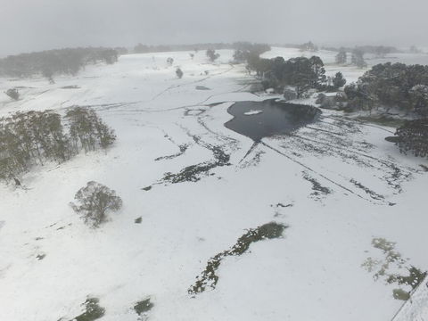 Brae Lossie - Accommodation Adelaide 1