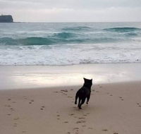 Breakers at Mudjimba Beach - Accommodation Adelaide