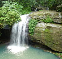 Buderim Forest Hideaway - Accommodation Adelaide