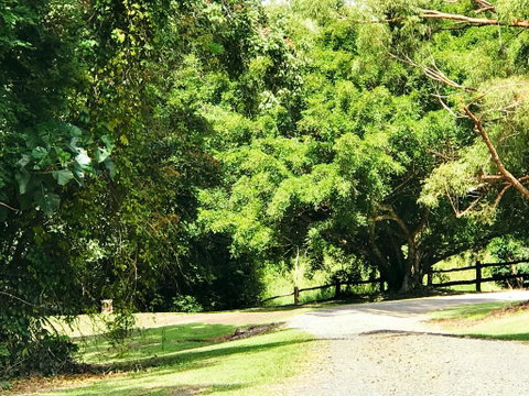 Cadaghi Cottage - Accommodation Adelaide 0