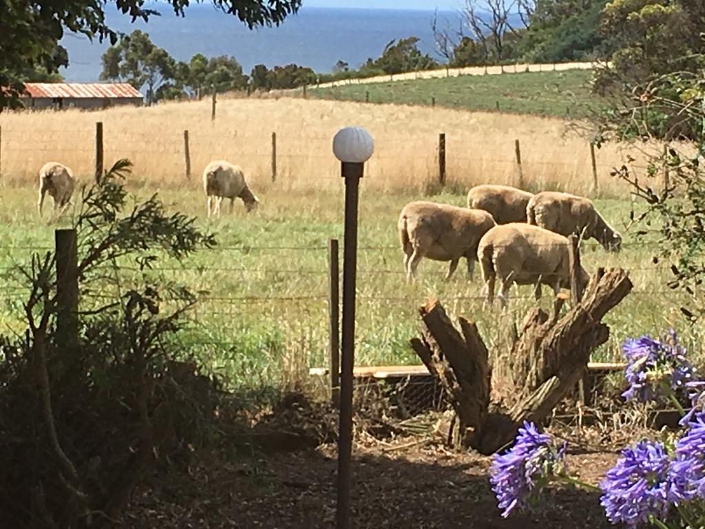 Table Cape TAS Accommodation Adelaide