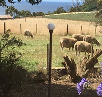 Cape View B and B - Accommodation Adelaide