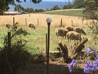 Book Table Cape Accommodation Vacations Accommodation Adelaide Accommodation Adelaide