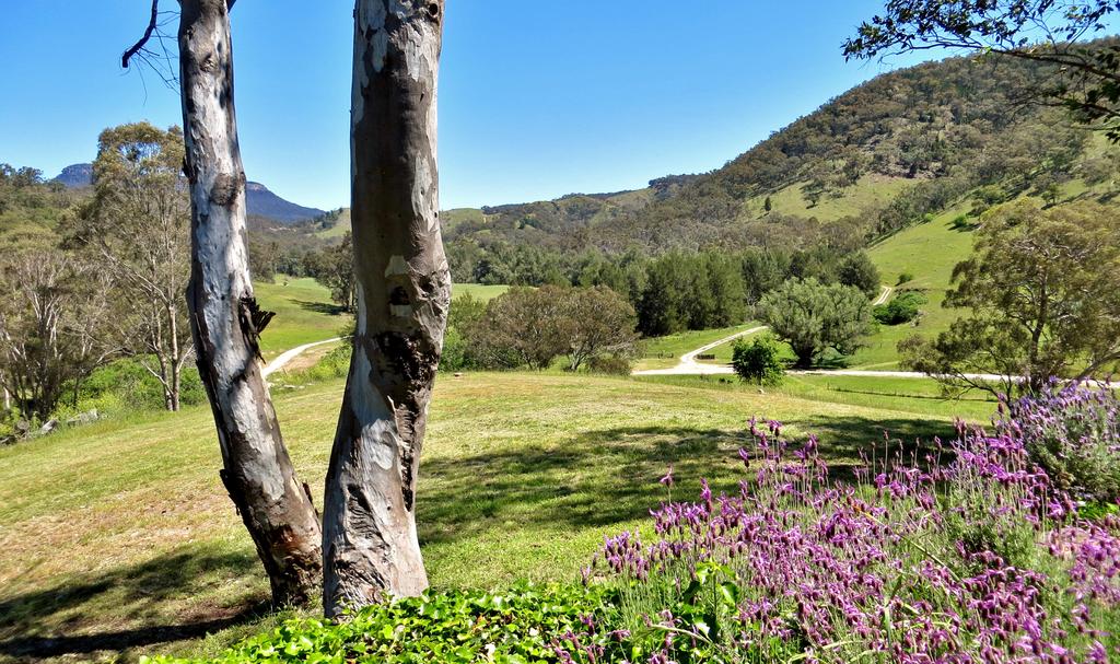 Capertee NSW Accommodation Adelaide