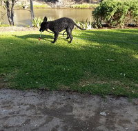 Captain's Cottage Bed  Breakfast