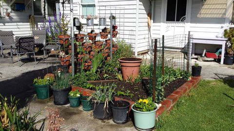 Carisbrook Cottage Queenscliff - Accommodation Adelaide 1