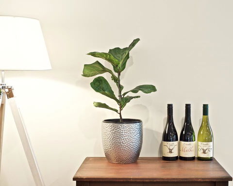 Cirillo Guest House - Accommodation Adelaide 2