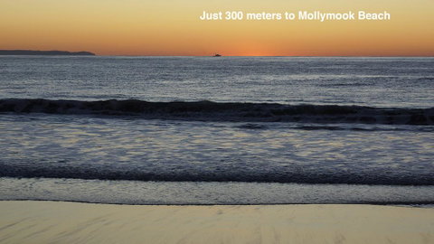Clyde Studio 53, Mollymook - Accommodation Adelaide 3