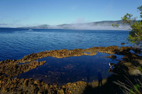 Coast House Tasmania - Accommodation Adelaide 2