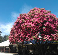 Crossways Country Inn - Accommodation Adelaide