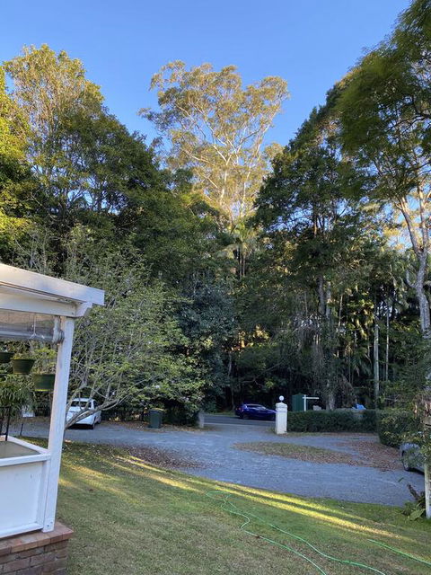 Curtis Falls Studio-Apartment - Accommodation Adelaide 3