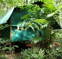Daintree Crocodylus - Accommodation Adelaide
