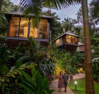 Daintree Ecolodge - Accommodation Adelaide
