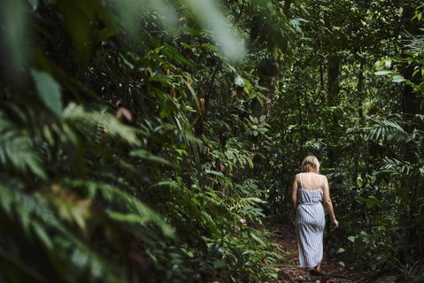 Daintree Ecolodge - Accommodation Adelaide 2