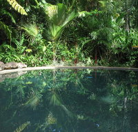 Daintree Rainforest Retreat Motel - Accommodation Adelaide