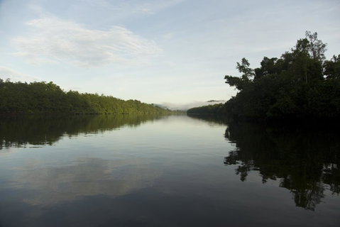 Daintree Village Hideaway - Accommodation Adelaide 2