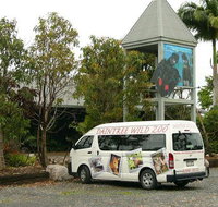 Daintree Wild Bed  Breakfast - Accommodation Adelaide