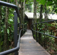 Daintree Wilderness Lodge - Accommodation Adelaide