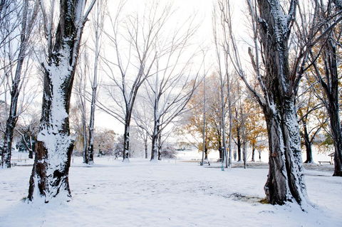 Discovery Parks - Jindabyne - Accommodation Adelaide 3