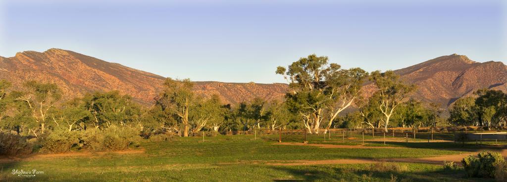 Flinders Ranges SA Accommodation Adelaide
