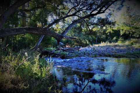 Eighteen Mile Cottage - Accommodation Adelaide 1