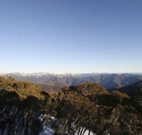 Elkhorn 7 - Accommodation Adelaide