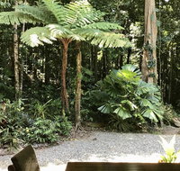 Forest Views Daintree - Accommodation Adelaide