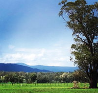 Fourjay Farmstay - Accommodation Adelaide