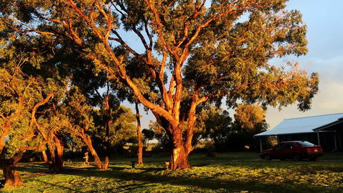 French Island Cottage - Accommodation Adelaide 1