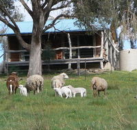 Gaddleen Grove Cottages - Accommodation Adelaide