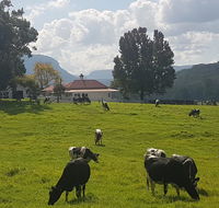 Glenmurray - Country farm stay - Accommodation Adelaide
