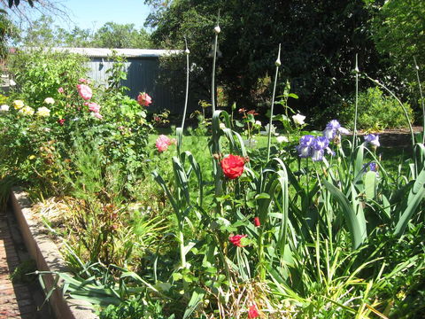 Goat Square Cottages - Accommodation Adelaide 2