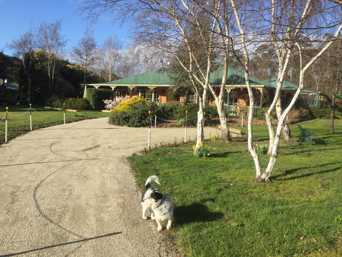 Green Gables B&B - Accommodation Adelaide 1
