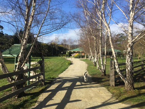 Green Gables B&B - Accommodation Adelaide 0