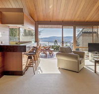 Grey Kangaroo- On Lake Jindabyne foreshore - Accommodation Adelaide