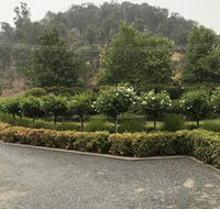 Guinevere - Accommodation Adelaide