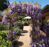 Gumtree House Montville - Accommodation Adelaide