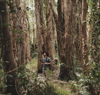 Habitat Noosa - Accommodation Adelaide