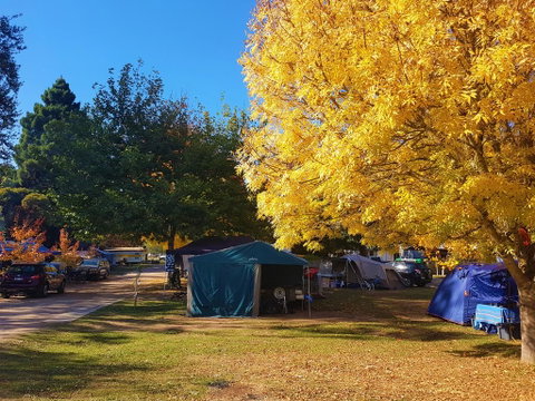Jamieson Caravan Park - Accommodation Adelaide 2