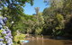 Jamieson Caravan Park - thumb 0