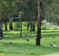 JAN'S ART STUDIO AT ASHBY RISE - Accommodation Adelaide