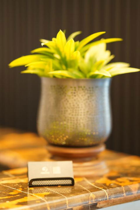 Jephson Hotel & Apartments - Accommodation Adelaide 3