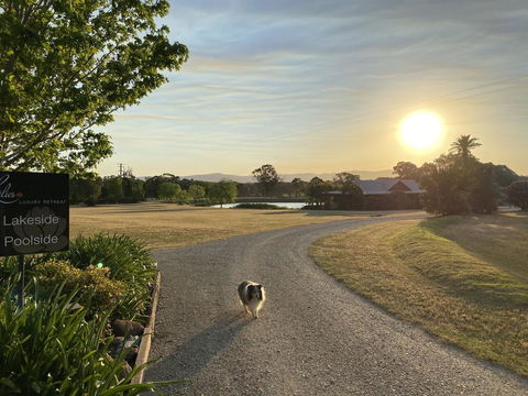 Lilies Luxury Retreats - Accommodation Adelaide 3
