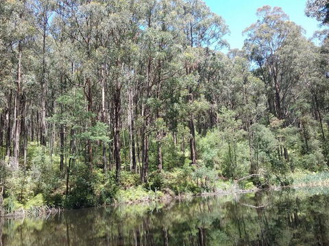Lyrebird Gully Retreat - Accommodation Adelaide 2