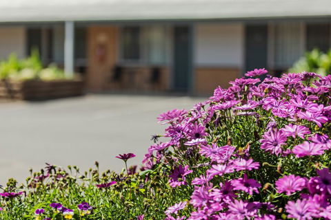 Maffra Motor Inn - Accommodation Adelaide 2